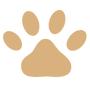 Design sem nome (43)
